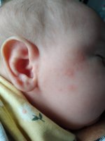 IMG_20240501_140712.jpg