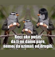 FB_IMG_1714561508752.jpg