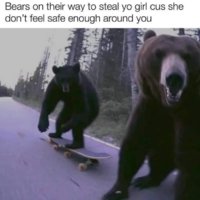 man-or-bear-v0-xkvkepkrkjyc1.jpeg