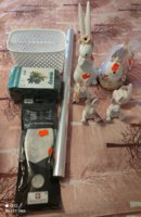IMG_20240510_165543.jpg