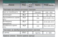 IMG_4210.jpeg