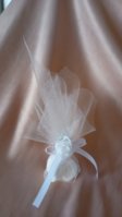 IMG_20240531_153939_176.jpg