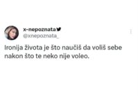 IMG_6597.jpeg