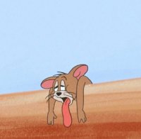 514.jpg