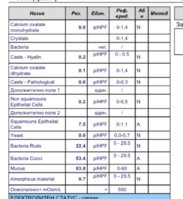 IMG_4411.jpeg