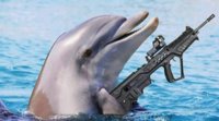 x1ythopve5z51.jpg