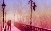 winter_love_583195.jpg