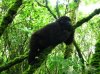 b-just-lying-around-bukavu.jpg