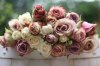 Mix-of-dusky-pink-roses_large.jpg