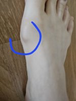 20240805_124923.jpg