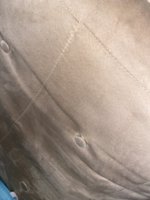 IMG_0901.jpeg