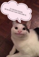 1000007754.jpg