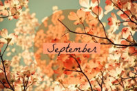 September.jpg