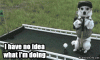 NuMEL.gif