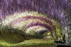 Ashikaga-cvjetni-park6.jpg