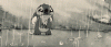 black-and-white-cute-nice-rain-sad-Favim.com-237561_large.gif