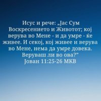 FB_IMG_1726608554141.jpg