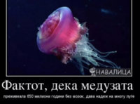 F11D3B8B-B51C-411A-8D8E-E3CDA76C935E.jpeg