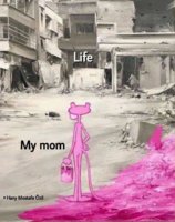 FB_IMG_1727694244937.jpg