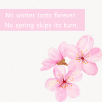 “No winter lasts forever; no spring skips its turn.”_20241003_182613_0000.png