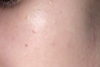 IMG_2420.jpeg