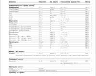 IMG_4138.jpeg