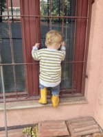 IMG_5733.jpeg
