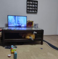 1000009637.jpg