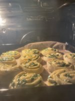IMG_2524.jpeg