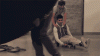 tumblr_mdqrd2gLFr1rehheno1_500.gif