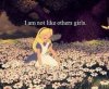 tumblr_mhvd73xs7V1s031mwo1_500_large.jpg