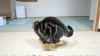 30-pricini-zosto-e-prekrasno-da-imas-30-godini-04.gif