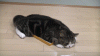 30-pricini-zosto-e-prekrasno-da-imas-30-godini-11.gif