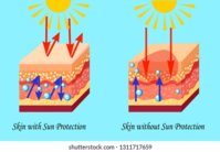 two-types-skin-without-sun-260nw-1311717659.jpg