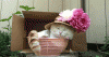 30-pricini-zosto-e-prekrasno-da-imas-30-godini-01.gif