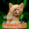 Mondays -_-.jpg