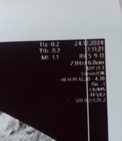 20241224_150453.jpg