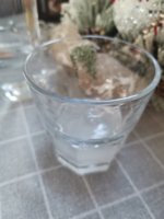 IMG_20241229_133635.jpg