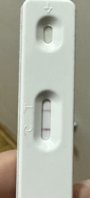 IMG_4562.jpeg