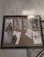 IMG_8619.jpeg
