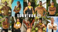 63020324-survivor-zuti-tim.jpg