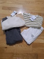 20250224_190746.jpg