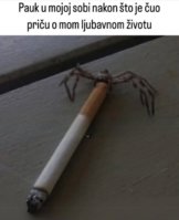 FB_IMG_1740569607973.jpg
