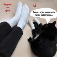 FB_IMG_1740679751830.jpg