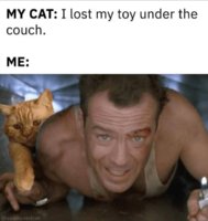 FB_IMG_1741336612023.jpg