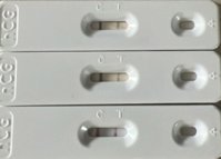 IMG_4411.jpeg