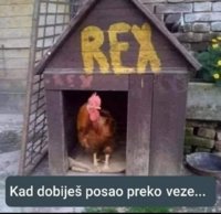 FB_IMG_1741886145942.jpg
