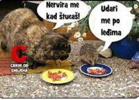 FB_IMG_1741891180422.jpg