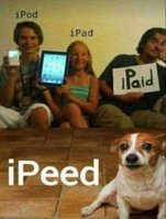 FB_IMG_1741897626395.jpg