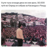 IMG_4565.jpeg